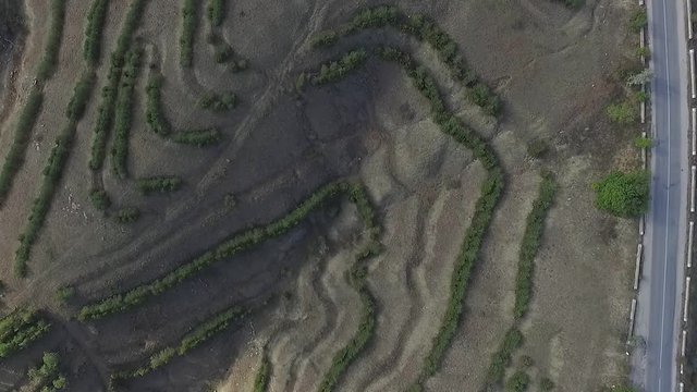 Wavy hills panorama, aerial view at sunset time. Shot. Wavy forest mountain landscape, aerial view. Tender sky colours, bright sunlight. Peaks of Caucasus mountains,