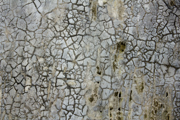 dirty gray white concrete wall. cracks in the wall. stains of dirt and moss on the old wall