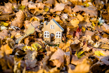 The symbol of the house stands among the fallen autumn leaves 