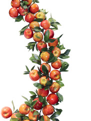 ornament of ripe red apples - fruits of apple trees, eaten fresh

