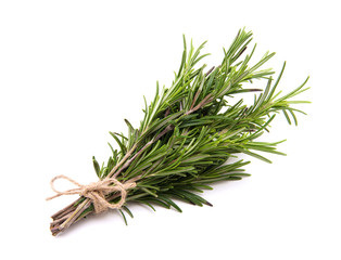 Rosemary bound on a white background
