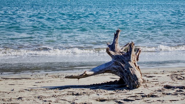 9 Best 橋杭海水浴場 Images Stock Photos Vectors Adobe Stock 9 Best 橋杭海水浴場 Images Stock Photos Vectors Adobe Stock