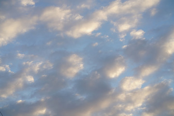 clouds illuminated by the sun. white cumulus
