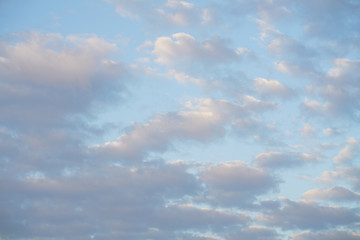 clouds illuminated by the sun. white cumulus