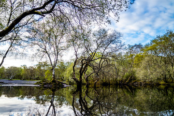 Reflections at Llyn Padarn with Dolbadarn Castle at Llanberis in Snowdonia National Park in background - Wales