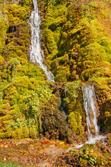 Beautiful small waterfall on the background of green moss. Summer sunny weather