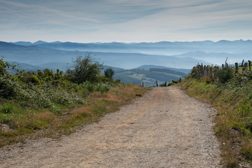 Panoramic landscape along the Camino de Santiago trail between Fonsagrada and O Cadavo, Galicia,...