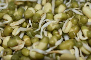 healthy nutritious sprouted pulses ready to eat 
