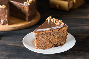 Piece of chocolate cake on a white plate on wooden. Traditional austrian cake. cake. Apricot pie. Breakfast concept. Coffee time. Still life of food. Chocolate decoration. Christmas cake.
