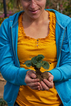 junge Frau freut sich und hält Erdbeerpflanze in den Händen
