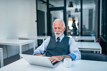 Elegant mature man using laptop in modern office.