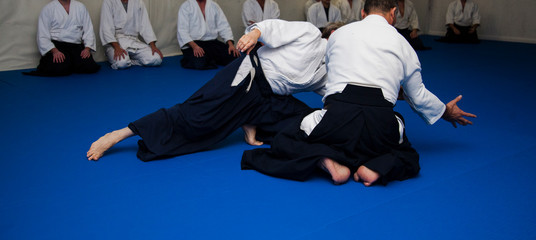 Aikido Sensei shows students ukemi technique on the ground