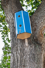 Wooden bird house hanging from a tree with leaves