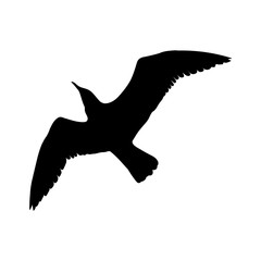 Flying Seagull Bird black silhouette isolated on white background.  illustration