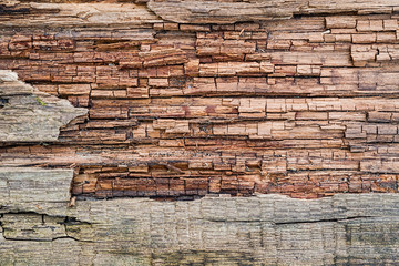 Texture of very old decayed wooden boards with natural pattern, abstract grunge retro background,
