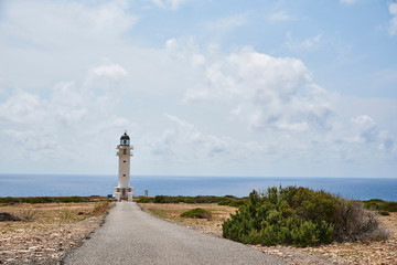 Fototapeta na wymiar Beach of Formentera with turquoise sea Mediterranean of Balearic islands