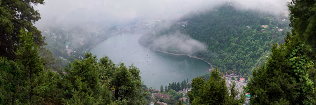 The Mango Lake