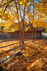 Fototapeta na wymiar Russian old village in autumn.