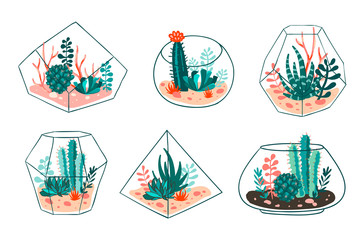 Panele Szklane  Zestaw sukulentów i kaktusów z terrariami. Wektor kwiatowy wzór