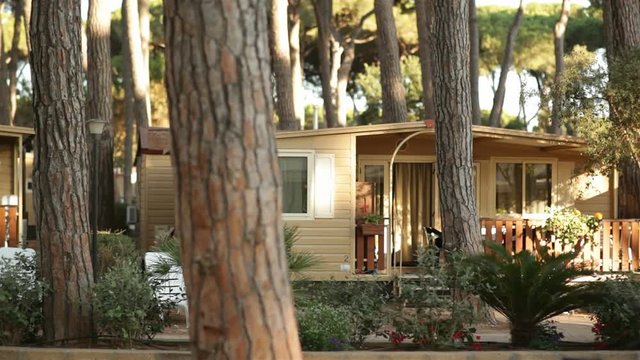Pine grove with holiday bungalows
