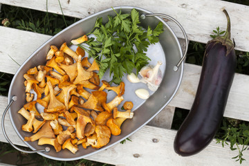 ingredients for pasta
