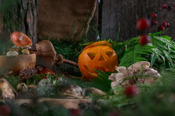 Pumpkin Jack in a witch hut surrounded by forest mushrooms and herbs for potion.