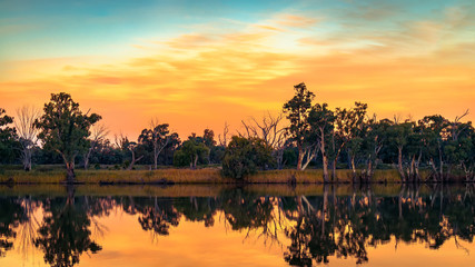 Murray-rivier bij zonsondergang, Riverland, Zuid-Australië