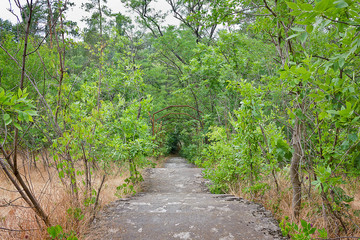 Old staircase in an abandoned park on a hill