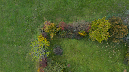 Top down aerial view of garden fence overgrown with bushes and trees