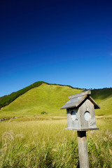 曽爾高原　青空バック