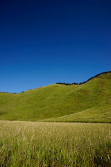 曽爾高原　青空バック