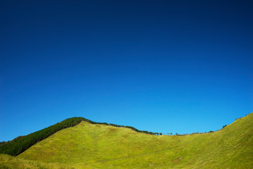 曽爾高原　青空バック