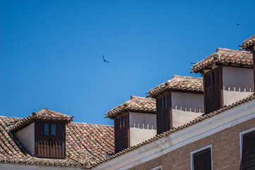 Rural roofs with swallows flying