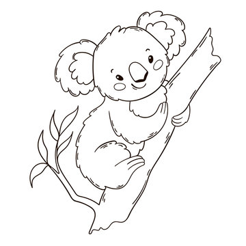 Koala Cartoon Images – Browse 29,429 Stock Photos, Vectors, and Video | Adobe Stock Koala Cartoon Images – Browse 29,429 Stock Photos, Vectors, and Video | Adobe Stock