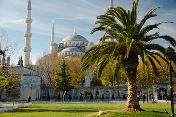 Fototapeta na wymiar Sultan Ahmet Camii named Blue Mosque, Istanbul, Turkey