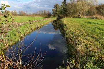 typical dutch landscape in the Wierden Overijssel