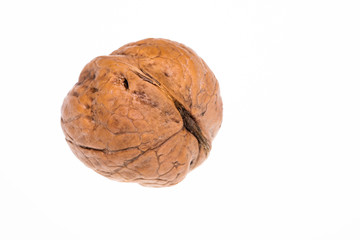 walnuts with shell