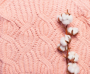 Female pink knitted sweater pullover and branch of cotton on pastel pink background top view flat lay. Fashion Lady Clothes Jumper Autumn winter clothes fashion look Delicate cotton flowers Lifestyle