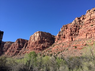 Fototapeta premium seedc