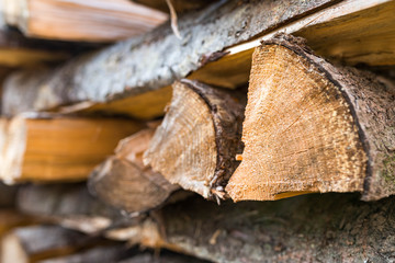 Stack of pine fire woods for the cold season close up shot, shallow depth of field.