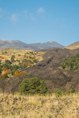 Autumn season on the Etna volcano