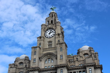 liverbird liverpool close