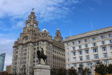 Naklejka premium liverbird liverpool