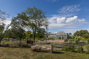 Botanical Garden in the park