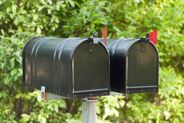 Black mailbox on a background of green plants