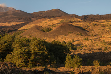 The colorful forests and lava flows in the autumn season on the Etna volcano