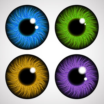 Iris of the human eye. Isolated on light background. Various colored eye lenses. Realistic vector illustration.