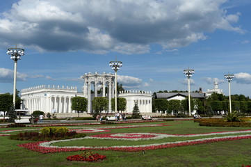 Beautiful landscape design on the background of Pavilion №66 