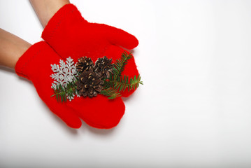 Christmas red mittens. Fir cone, snowflake and a sprig of Christmas trees in their hands. On a...
