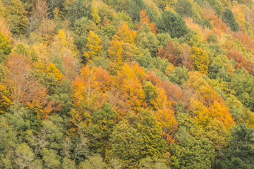 Autumn season on the Etna volcano